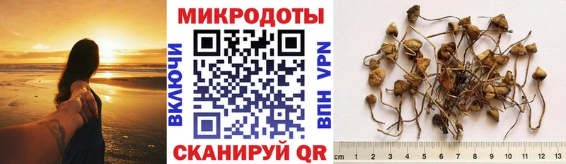 продажа наркотиков  Гдов  hydra как зайти  Псилоцибиновые грибы мицелий 